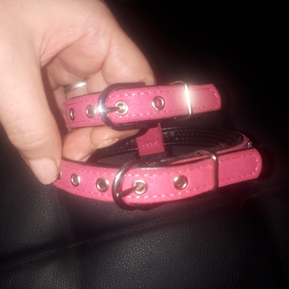 Cat/dog halter/leash - Picture 3 of 13
